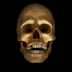 skull_00